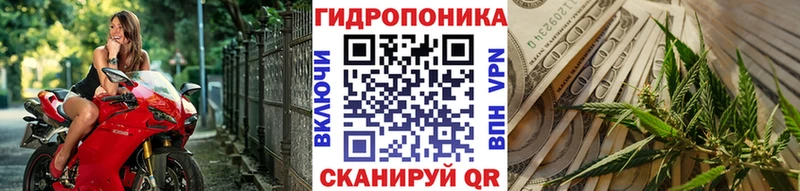 Шишки марихуана THC 21%  hydra зеркало  Красково 